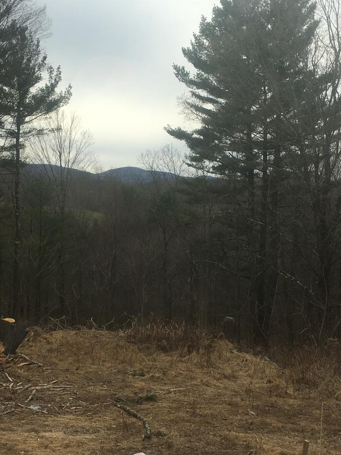 Cozy Cabin In The Catskills East Durham Eksteriør billede